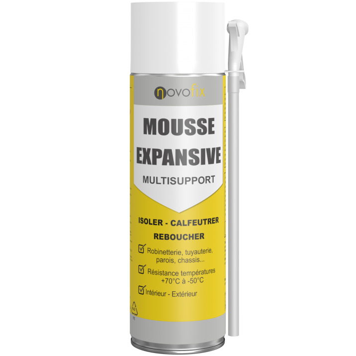 Mousse expansive Multi-supports 1C